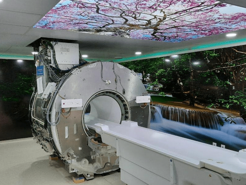 3520347624740929 4872853147054876928 n