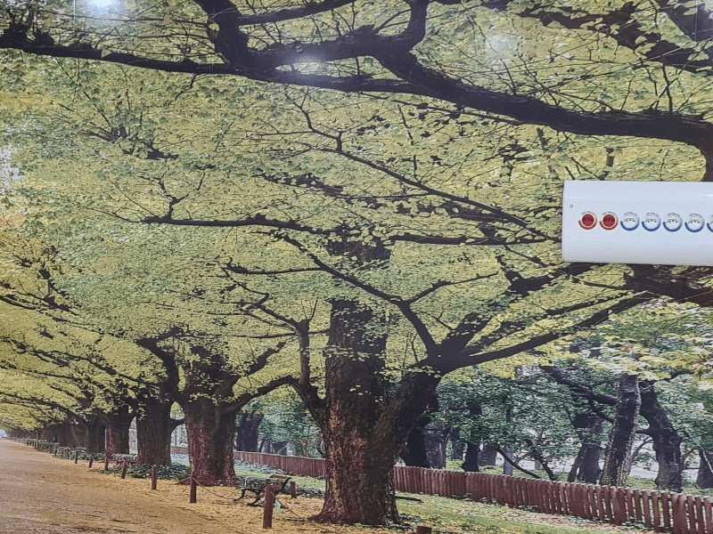 4185211004921251 5879336795854214914 n