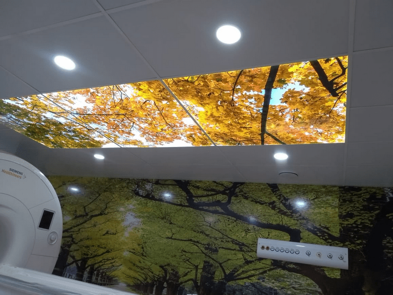 4185209991588019 2448416809110561270 n